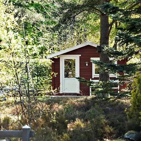 Ha325-hals-savannen-3 * Hals